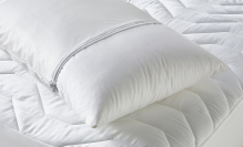 Pillows & Pillow Protectors